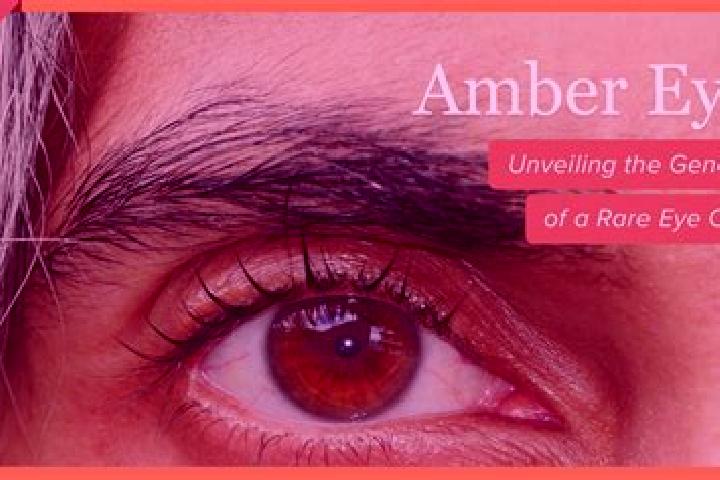 Alice, 23, a red amber-eyed asian companion based in Royal Oak. Offering Massage, BDSM, Deep French Kissing, Travel Companion. Available for incall and outca...