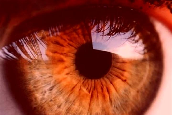 Alice, 23, a red hazel-eyed middle eastern companion based in Misca. Offering Couples, BDSM, Deep French Kissing, Domination, Striptease. Available for incal...