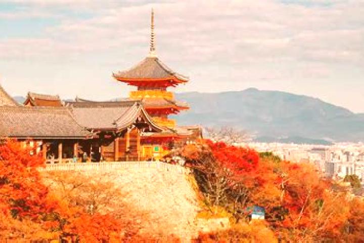 Alice, 23 — Escort in Otawara, Japan