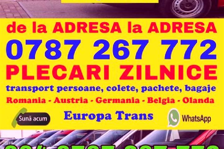 Alice, 23 — Escort in Sanpetru German, Romania