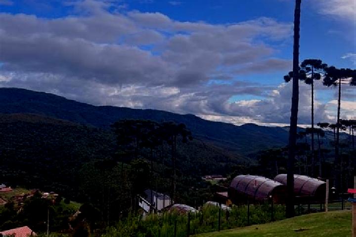 Alice, 24 — Escort in Monte Negro, Brazil