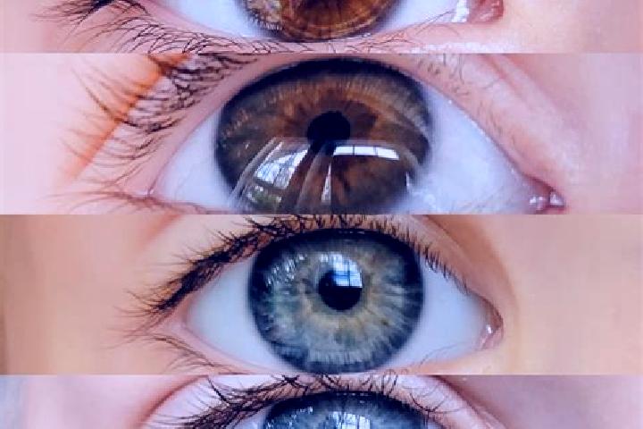 Alice, 25, a chestnut blue-eyed middle eastern companion based in Dokri. Offering Couples, Fetish. Available for incall and outcall, overnight bookings avail...