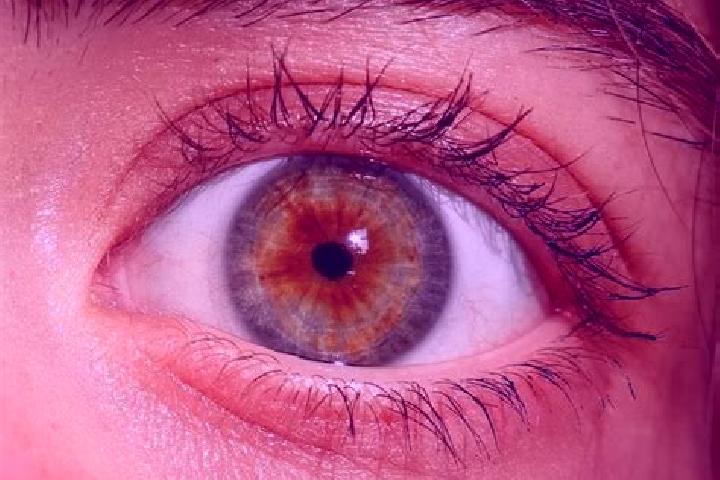 Alice, 25, a red hazel-eyed mixed companion based in Rio Crespo. Offering Fetish, Domination, Couples. Available for incall and outcall, overnight bookings a...