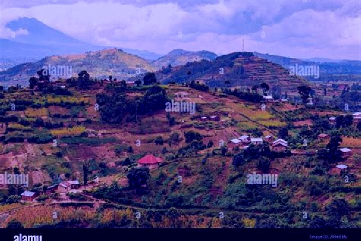 Alice, 25 — Escort in Kisoro, Uganda