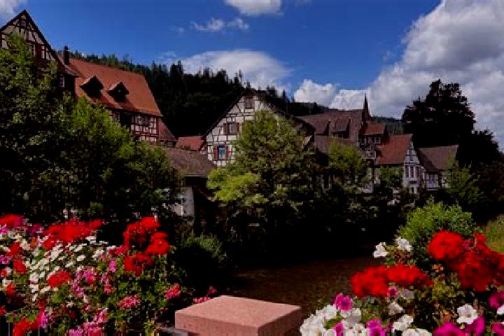 Alice, 25 — Escort in Schiltach, Germany