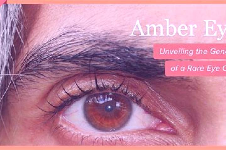 Alice, 26, a red amber-eyed latina companion based in Kosel. Offering Dinner Date, Tantra, Fetish, GFE, Massage. Available for incall and outcall, day and ev...