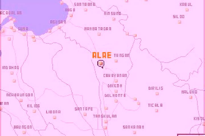 Alice, 26 — Escort in Alae, Philippines