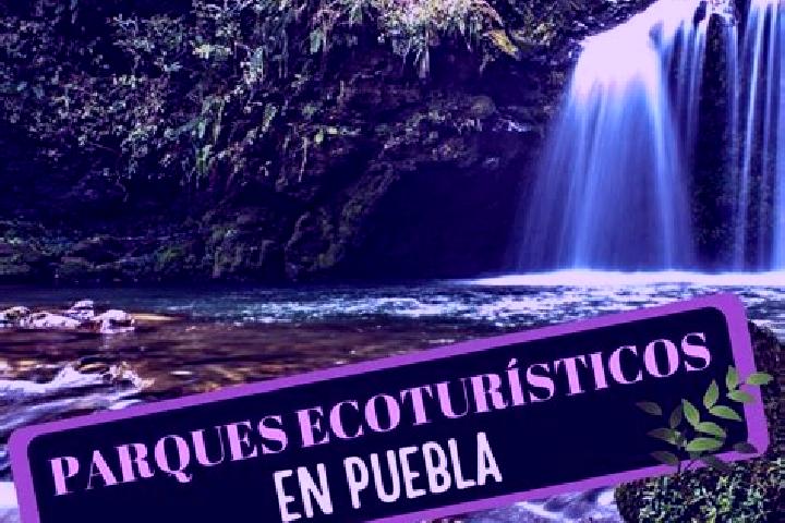 Alice, 28 — Escort in Barrio Puentecillas el Deposito, Mexico
