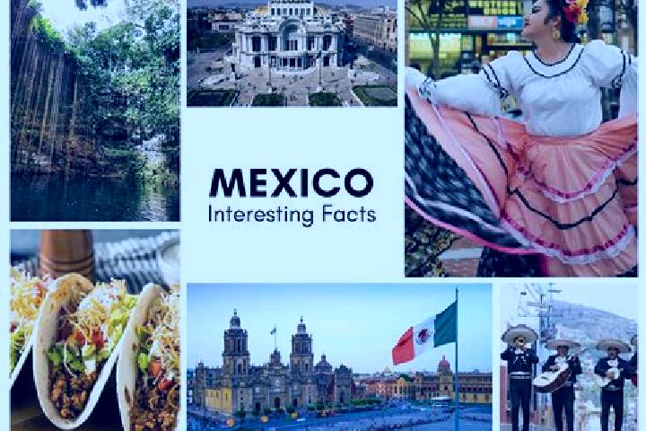 Alice, 28 — Escort in Bijahual, Mexico
