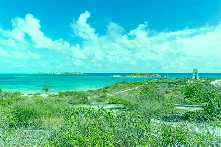 Alice, 28 — Escort in Cockburn Harbour, Turks and Caicos Islands