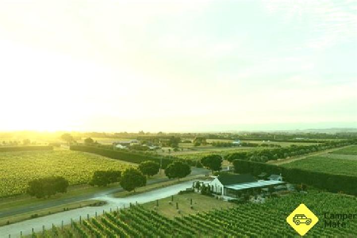 Alice, 28 — Escort in Vineyard, Australia