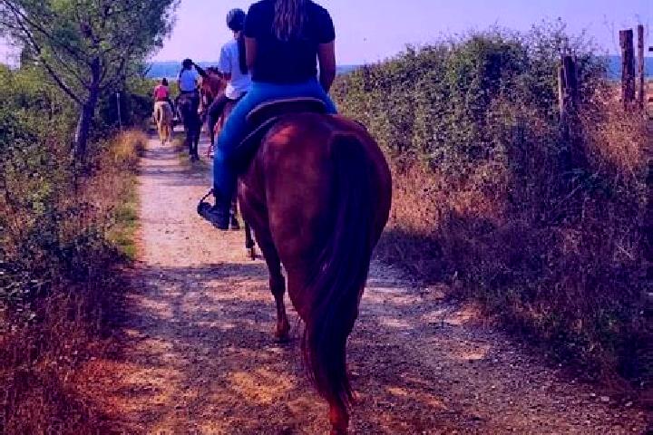 Alice, 31 — Escort in Castellina Scalo, Italy