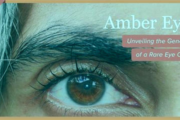 Alice, 32, a red amber-eyed european companion based in Naliang. Offering Tantra, Overnight, Roleplay. Available for incall and outcall, overnight bookings a...