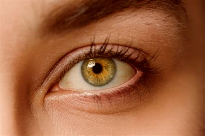 Alice, 34, a chestnut hazel-eyed mixed companion based in El Guismi. Offering Tantra, 69, Prostate Massage. Available for incall and outcall, day and evening...
