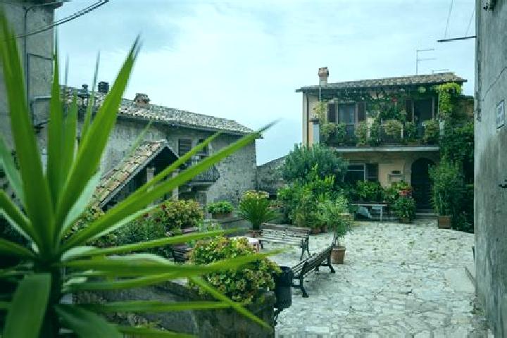 Alice, 34 — Escort in Castiglione in Teverina, Italy