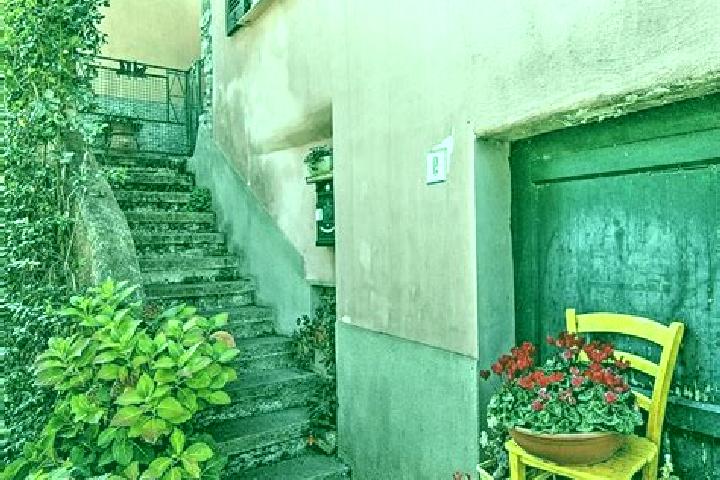 Alice, 34 — Escort in Sesta Godano, Italy