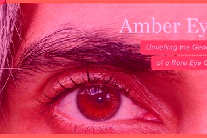 Alice, 36, a black amber-eyed mixed companion based in Larose. Offering Prostate Massage, Massage, Striptease. Available for incall and outcall, day and even...