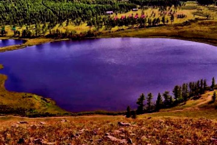 Alice, 36 — Escort in Sharbulag, Mongolia
