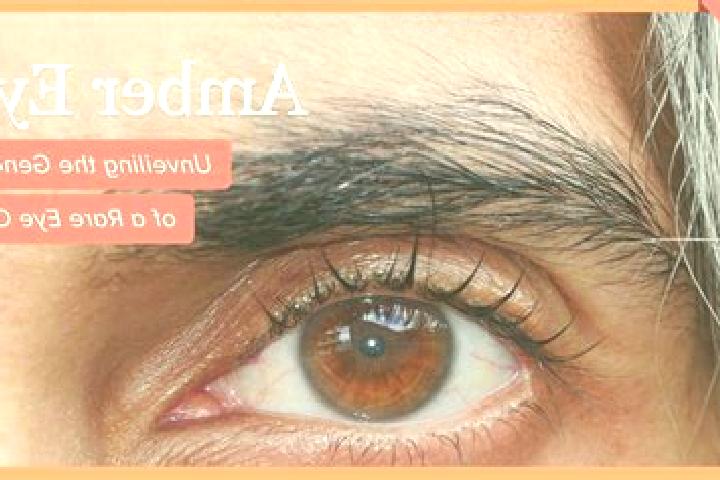 Alice, 38, a black amber-eyed middle eastern companion based in Remus. Offering Tantra, Duos, OWO. Available for incall and outcall, day and evening dates.