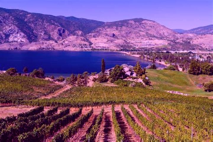 Alice, 38 — Escort in Okanagan Mission, Canada