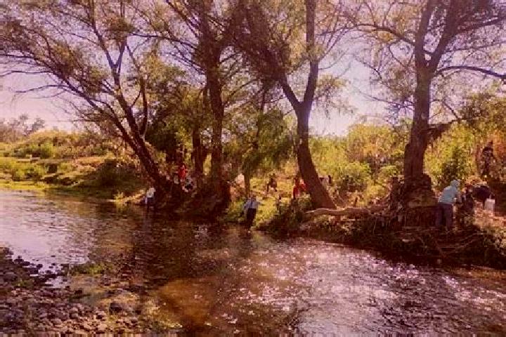 Alice, 38 — Escort in Rio Frio (Rio Frio Yebucivi), Mexico