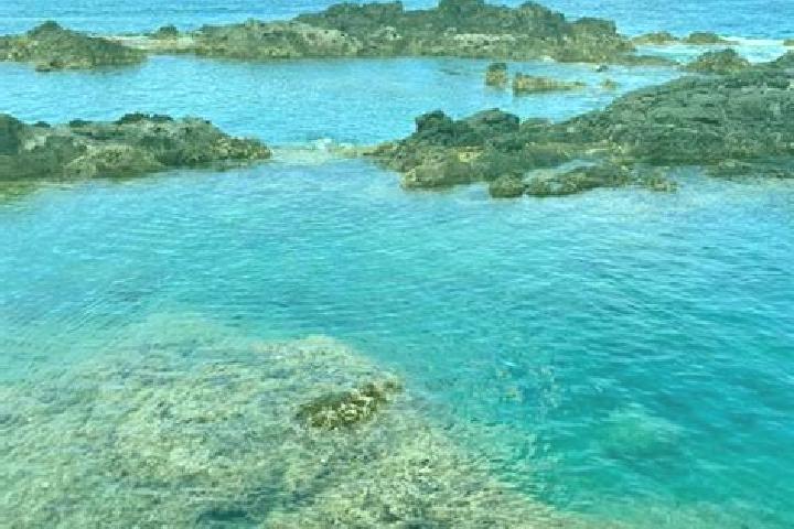 Alice, 38 — Escort in Santa Cruz das Flores, Portugal