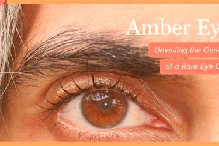 Alice, 39, a red amber-eyed indian companion based in Sittersdorf. Offering Deep French Kissing, Girlfriend Experience, GFE, OWO. Available for incall and ou...