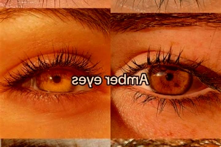 Amelia, 20, a chestnut amber-eyed middle eastern companion based in Burgoberbach. Offering CIM, Fetish. Available for incall and outcall, day and evening dates.