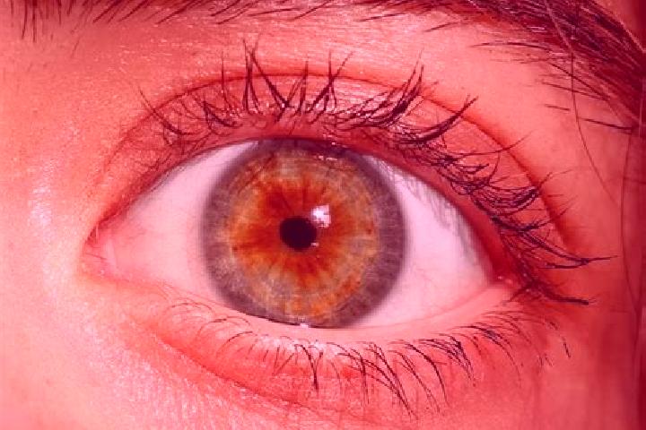 Amelia, 20, a red hazel-eyed latina companion based in Karadenan. Offering Domination, Prostate Massage, GFE. Available for incall and outcall, overnight boo...