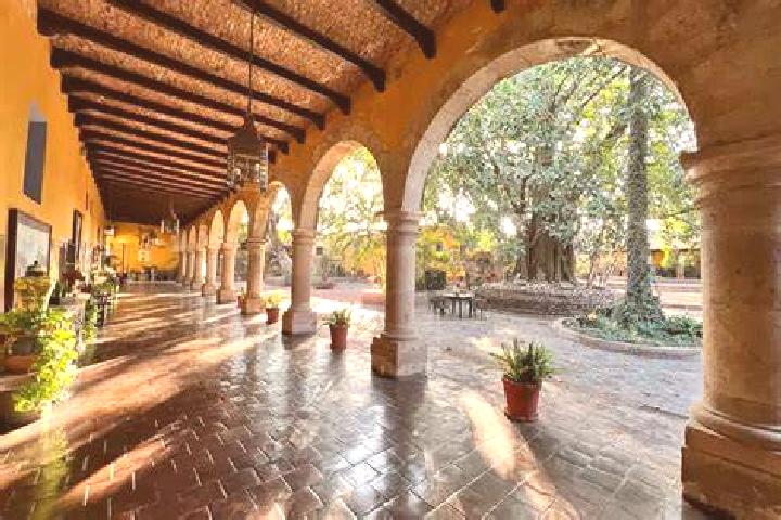 Amelia, 20 — Escort in San Jose la Hacienda, Mexico