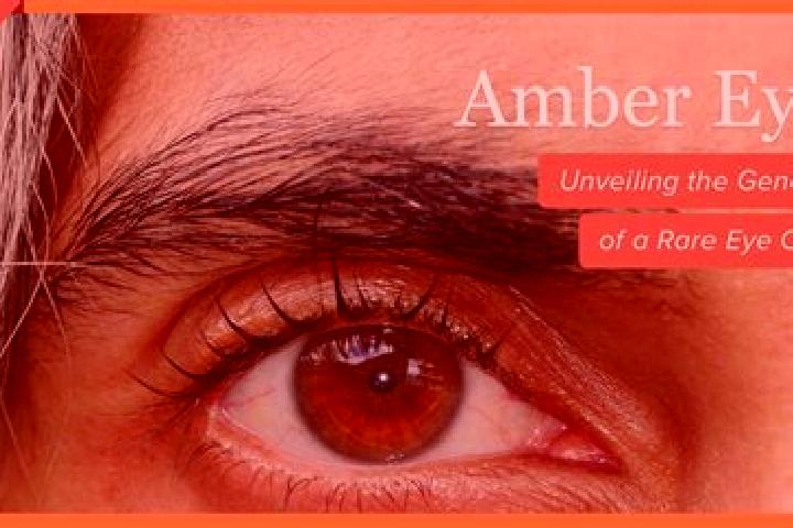 Amelia, 21, a black amber-eyed latina companion based in Taize. Offering Erotic Massage, Girlfriend Experience, Fetish, Massage, OWO. Available for incall an...