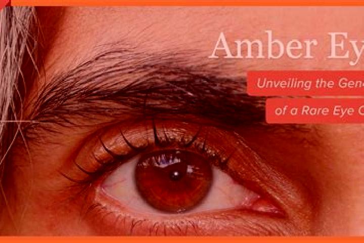 Amelia, 21, a black amber-eyed mixed companion based in Litio. Offering Roleplay, Striptease, Massage. Available for incall and outcall, overnight bookings a...