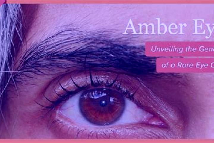Amelia, 22, a black amber-eyed european companion based in Bagratashen. Offering Couples, A-Level, Fetish, Domination. Available for incall and outcall, day ...