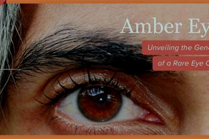 Amelia, 22, a black amber-eyed european companion based in Yumbe. Offering Tantra, BDSM, Dinner Date. Available for incall and outcall, overnight bookings av...