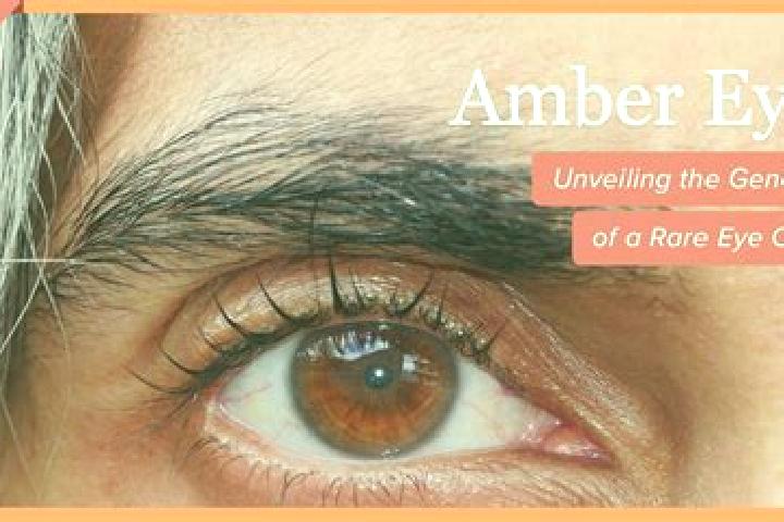 Amelia, 22, a red amber-eyed ebony companion based in Lambert. Offering Travel Companion, A-Level, Erotic Massage. Available for incall and outcall, overnigh...