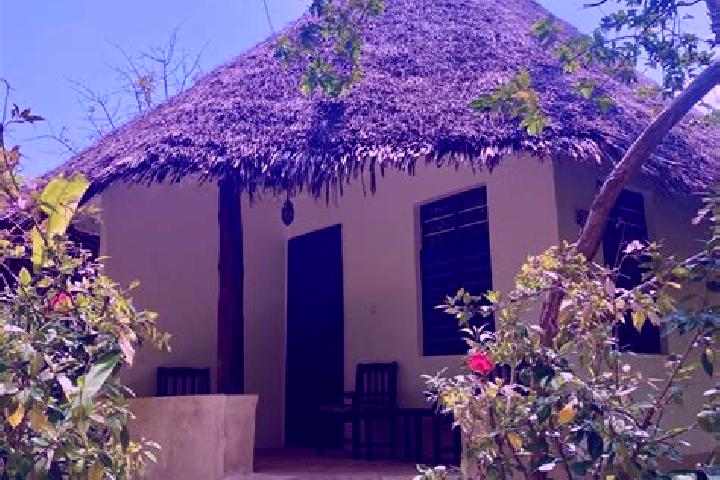 Amelia, 22 — Escort in Bububu, Tanzania