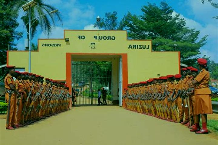 Amelia, 22 — Escort in Bulambuli, Uganda
