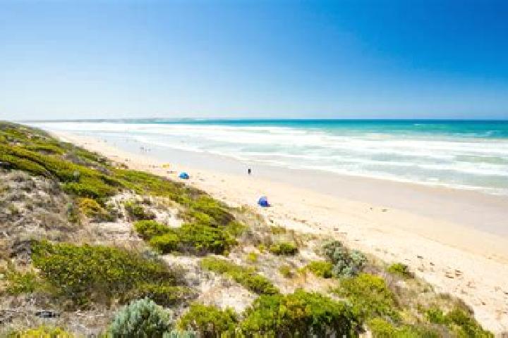 Amelia, 22 — Escort in Cedar Grove, Australia