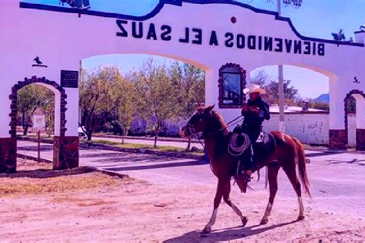 Amelia, 22 — Escort in El Sauz de Abajo, Mexico