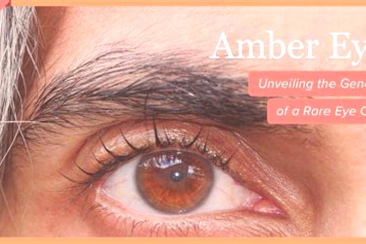Amelia, 23, a black amber-eyed middle eastern companion based in Parentignat. Offering Fetish, GFE, Prostate Massage. Available for incall and outcall, day a...
