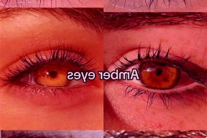 Amelia, 23, a brunette amber-eyed asian companion based in Mysen. Offering Domination, Dinner Date, Tantra. Available for incall and outcall, overnight booki...