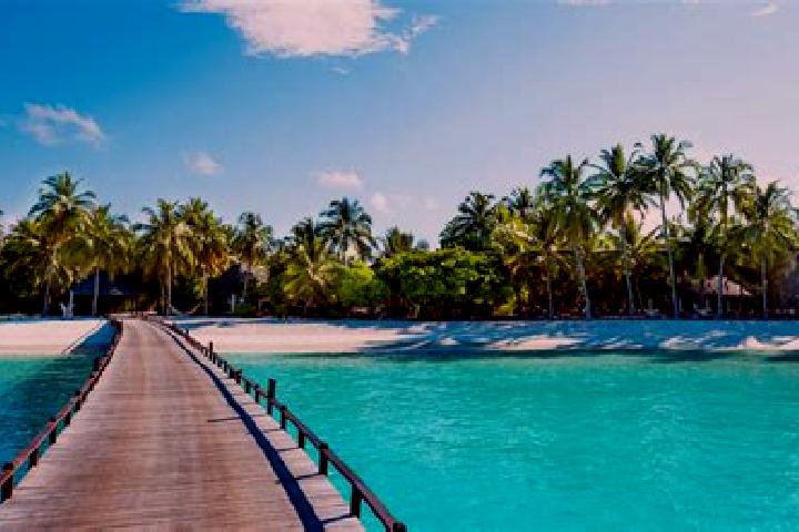 Amelia, 23 — Escort in Faone, French Polynesia