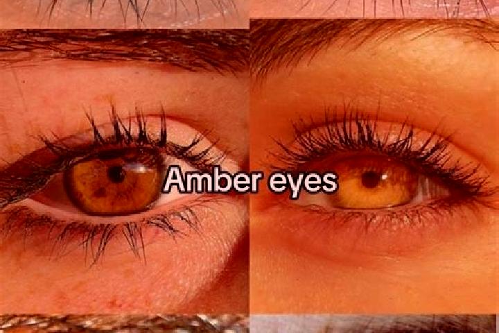 Amelia, 24, a brunette amber-eyed indian companion based in Mopipi. Offering Tantra, Duos. Available for incall and outcall, day and evening dates.