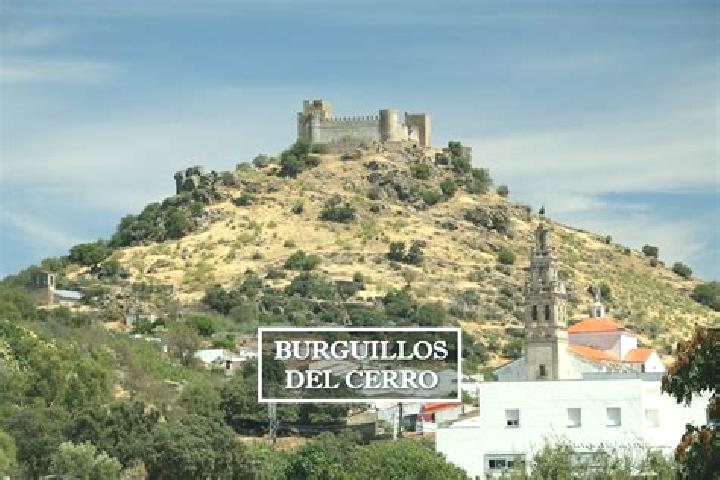 Amelia, 24 — Escort in Burguillos del Cerro, Spain