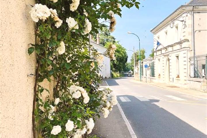 Amelia, 24 — Escort in Mosnes, France