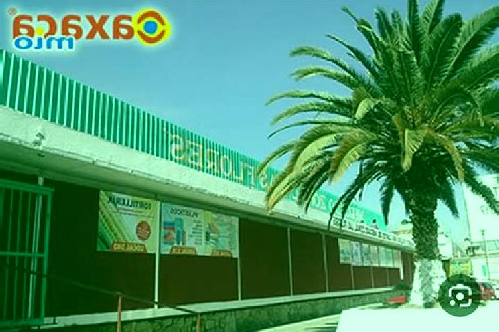 Amelia, 26 — Escort in Colonia las Flores, Mexico