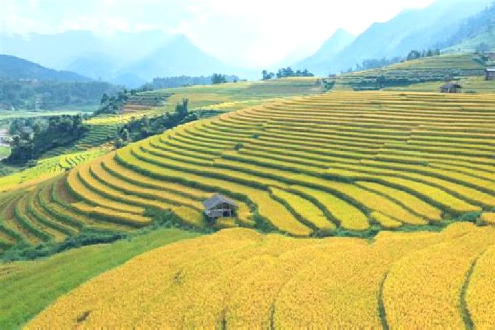 Amelia, 26 — Escort in Sa Pa, Vietnam