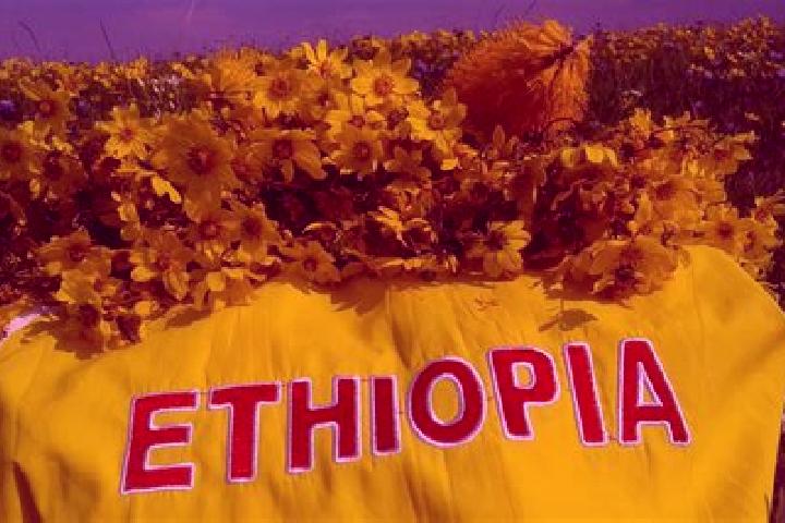 Amelia, 27 — Escort in Himora, Eritrea