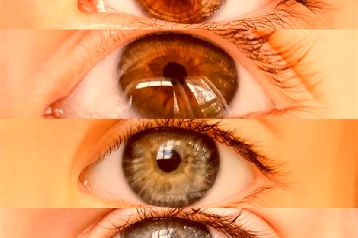 Amelia, 28, a chestnut dark-eyed mixed companion based in Pommiers. Offering Roleplay, Couples, Travel Companion, Deep French Kissing, CIM. Available for inc...