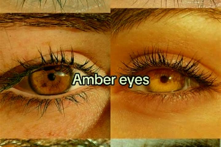 Amelia, 29, a brunette amber-eyed asian companion based in Araluen. Offering Overnight, Striptease, CIM. Available for incall and outcall, overnight bookings...